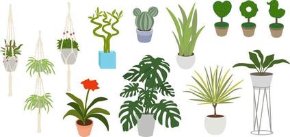 colección ilustrada de plantas de interior planas vector