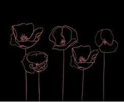 Vector Pink Outline Poppy Flower Black Background