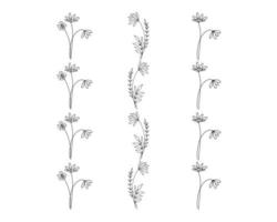 Vector Floral Border Frame Illustrations Pattern