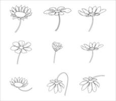 Set of Flat Floral Illustrations Vector