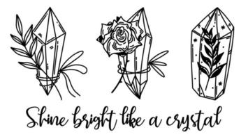 Magic crystals vector set. Quartz with a rose flower, prism with a plant, branch inside a gem. Shine bright like a crystal. Black outline, sketch isolated on white. Clipart for logo, web, apps, DIY