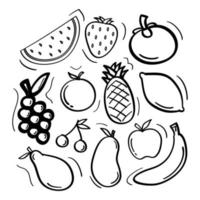 Hand drawn fruits collection icon in doodle style vector