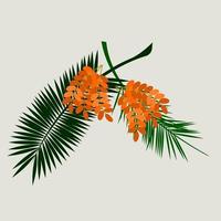 Editable Isolated Flat Style Date Palm Fruits With Stalks and Leaves on Light Background Vector Illustration for Islamic or Arab Nature and Culture Also Healthy Foods Related Design