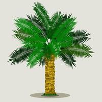 Editable Isolated Date Palm Tree on Light Background With Grass at the Bottom Vector Illustration for Islamic or Arab Nature and Culture Also Healthy Foods Related Design