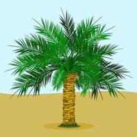 Editable Date Palm Tree With Grass on the Bottom and Simple Background Vector Illustration for Islamic or Arab Nature and Culture Also Healthy Foods Related Design