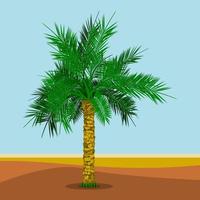 palmera datilera editable en el fondo del desierto con hierba en la ilustración vectorial inferior para la naturaleza y la cultura islámicas o árabes también diseño relacionado con alimentos saludables vector