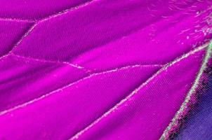 Macro close up of purple butterfly wings in texture background pattern. photo