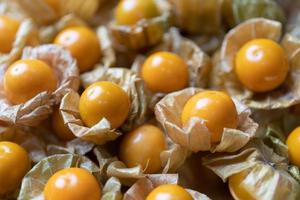 Top view pile of cape gooseberry fruit  in the market. photo