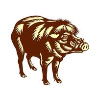 Philippine Warty Pig Woodcut vector