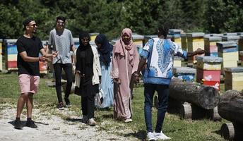 people group visiting local honey production farm photo