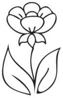 Line art flower illustration. PNG with transparent background.