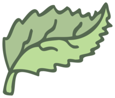 botanisch ontwerp element, decoratief vlak. PNG met transparant achtergrond.