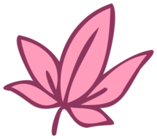 Botanical design element, decorative plane. PNG with transparent background.