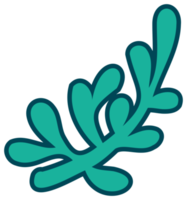 botanisch ontwerp element, decoratief vlak. PNG met transparant achtergrond.