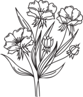 Flower line art illustration with black thin line. PNG with transparent background.