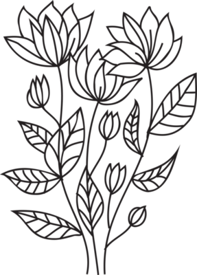 Flower line art illustration with black thin line. PNG with