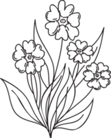 Flower line art illustration with black thin line. PNG with transparent background.