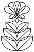 Line art flower illustration. PNG with transparent background.