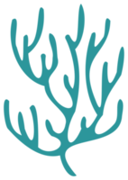 Plant decoration. PNG with transparent background.