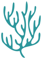 Plant decoration. PNG with transparent background.