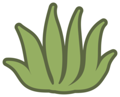 botanisch ontwerp element, decoratief vlak. PNG met transparant achtergrond.