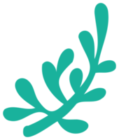 Plant decoration. PNG with transparent background.