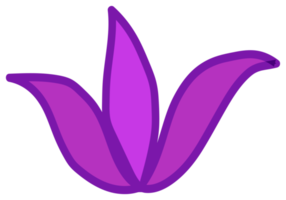 Botanical design element, decorative plane. PNG with transparent background.