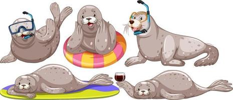 Set of different seal cartoon characters vector