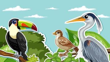 Thumbnail design with different birds vector