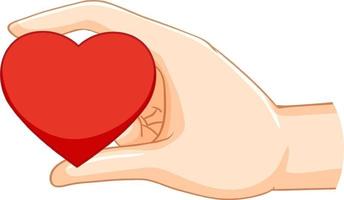 Hand holding heart isolated vector