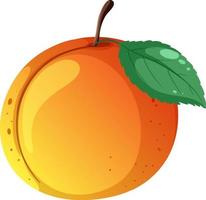 Peach with a leaf vector