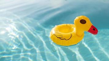 lindo pato de goma amarillo flotando en el agua azul en una piscina. foto