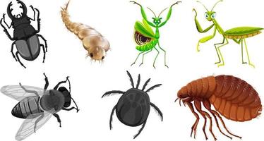 conjunto de diferentes tipos de insectos vector