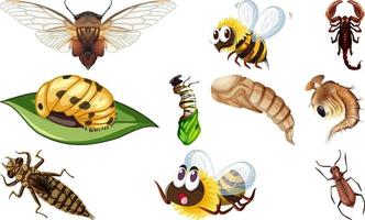 Different kinds of insects collection vector