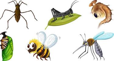 colección de diferentes vectores de insectos