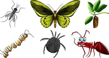 Set of different kinds of insects vector