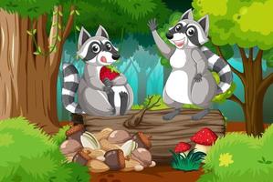 Two raccoons in the forest vector