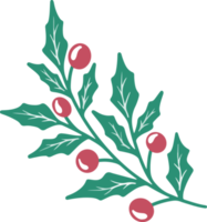 weihnachtsstechpalmenblätter und beeren png