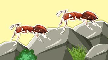 Thumbnail design with two red ants vector