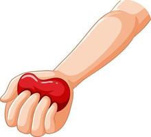 Human hands holding heart vector