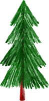 Christmas Watercolor Fir Tree png