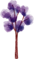 albero acquerello illustrazione png