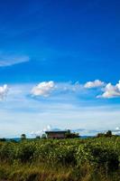 Beautiful bright blue sky with white clouds, nature background concept. photo