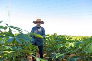 Smart Farmer An Asian man uses a tablet to analyze the crops he grows in his farm during the day. photo