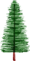 imágenes prediseñadas de acuarela de árbol de pino png