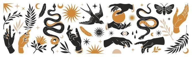 Boho mystical set with hands, snakes, moon, sun, magic, bird, floral elements in trendy bohemian occult style. vector