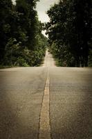 The asphalt road on both sides of the road was filled with big trees. photo