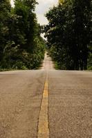 The asphalt road on both sides of the road was filled with big trees. photo