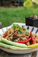 Spicy minced pork salad served with fresh vegetables Minced pork salad is a popular traditional Thai food of Thailand. Spicy Minced Pork Salad is also called Larb Moo. photo