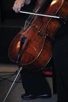 classical music bass instrument player photo